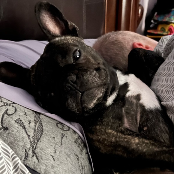 Meet your Posher, April - Picture 2 of 2